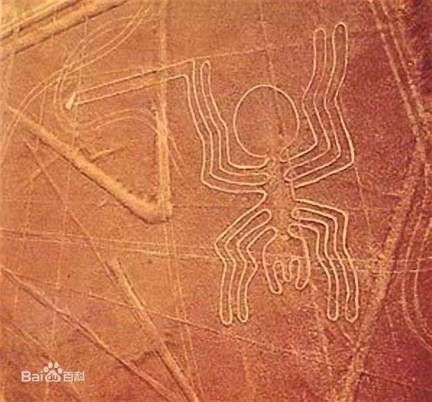 新奥2025新澳门原料网