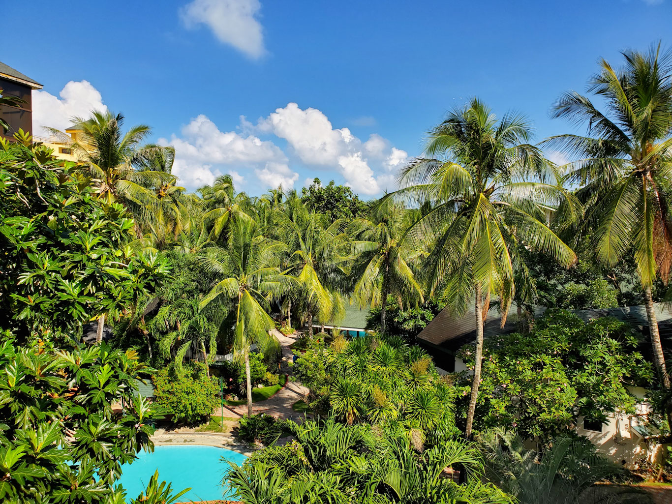 新奥2025新澳门原料网