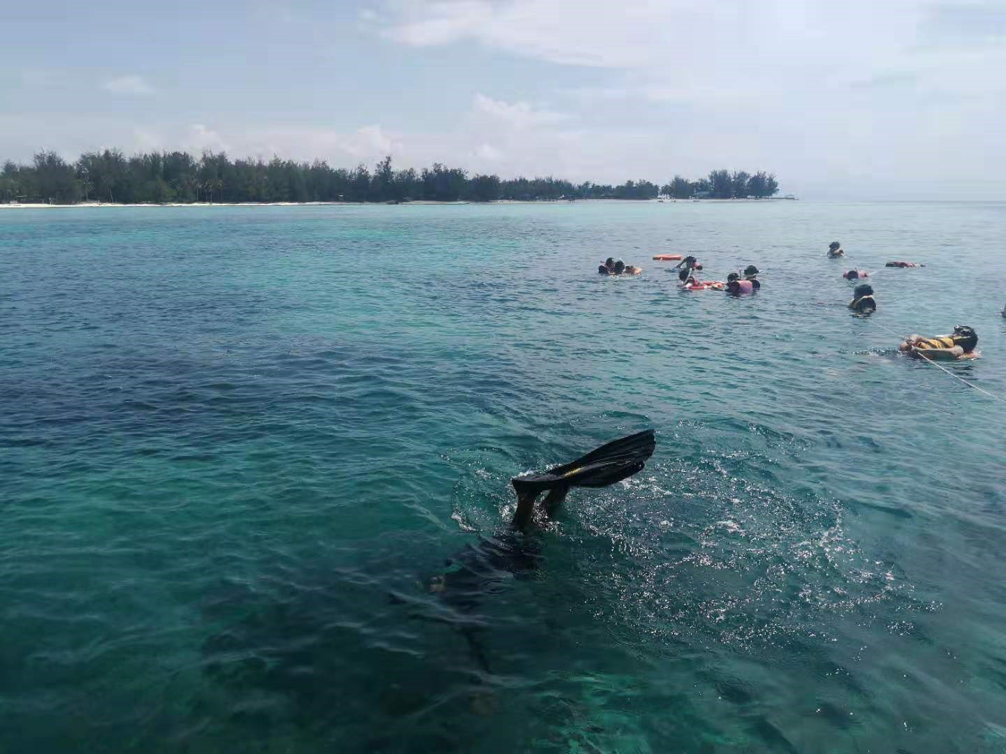 新奥2025新澳门原料网