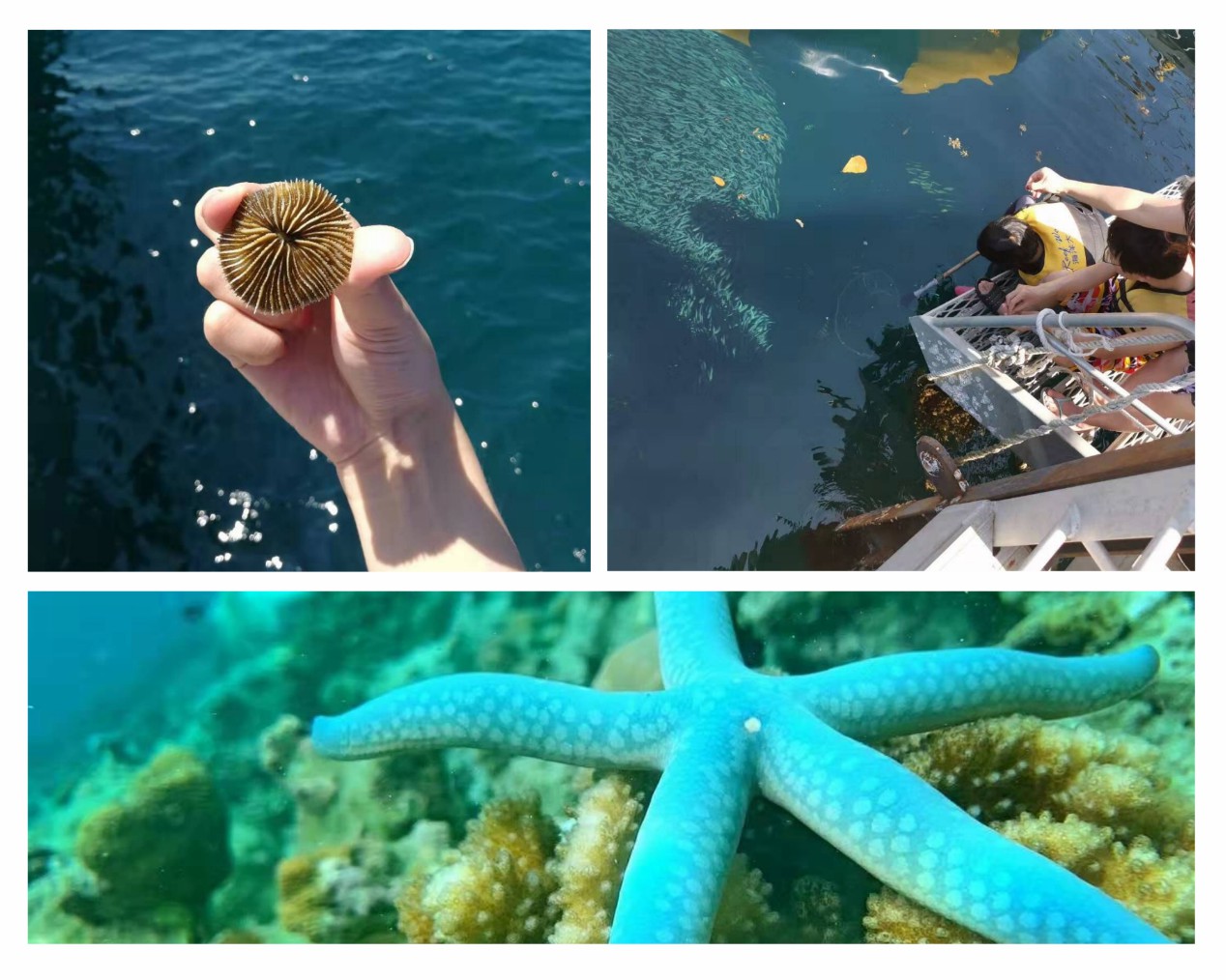 新奥2025新澳门原料网