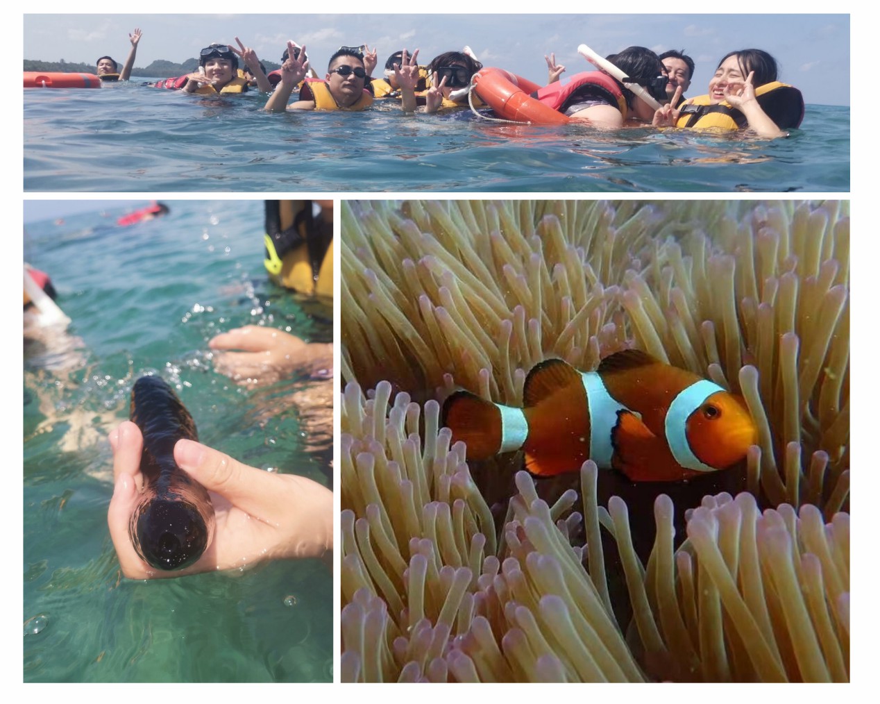 新奥2025新澳门原料网