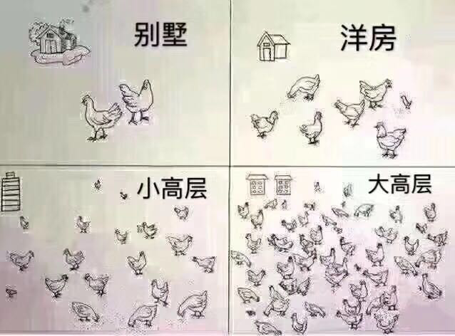 新奥2025新澳门原料网