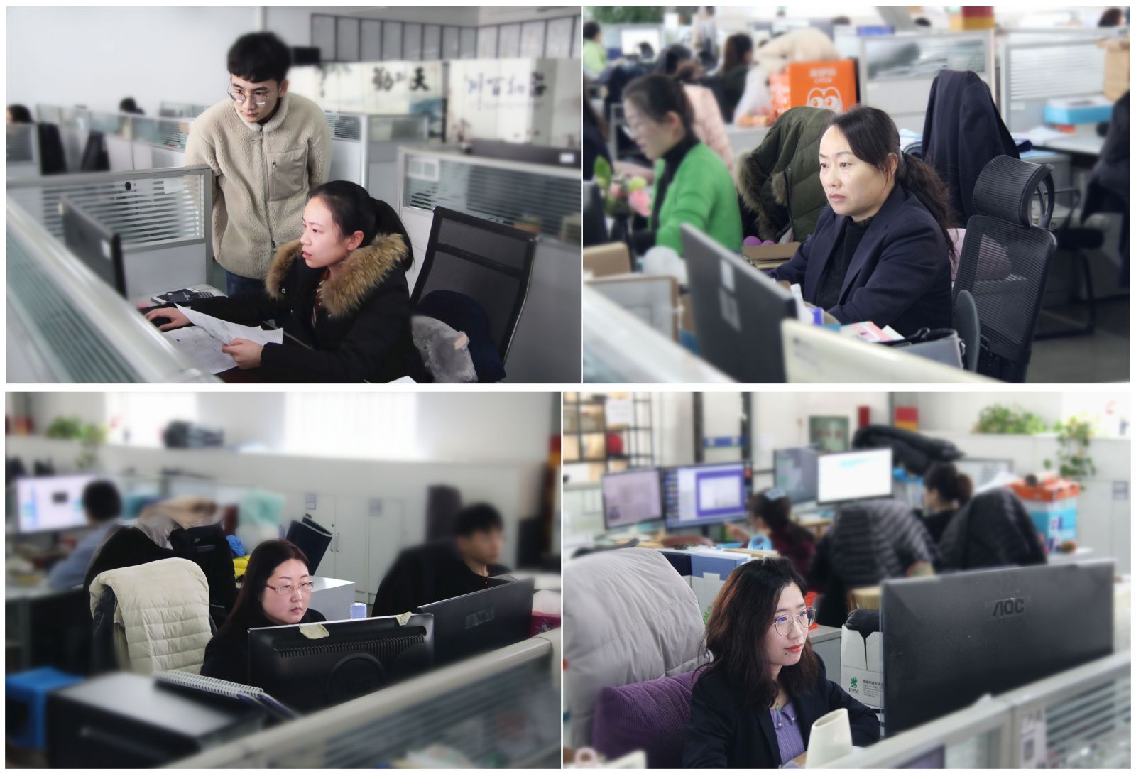 新奥2025新澳门原料网